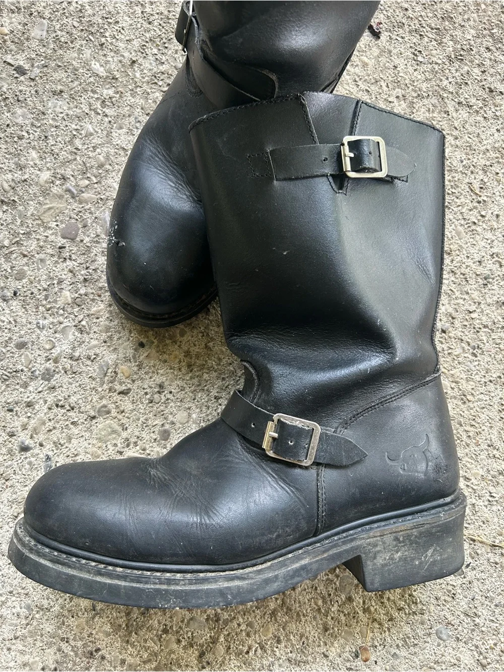 Texas Steer durable black
